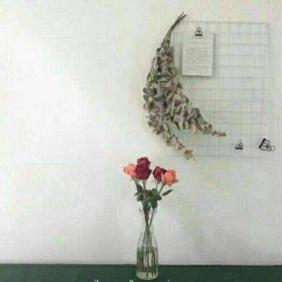 中欧体育app全站